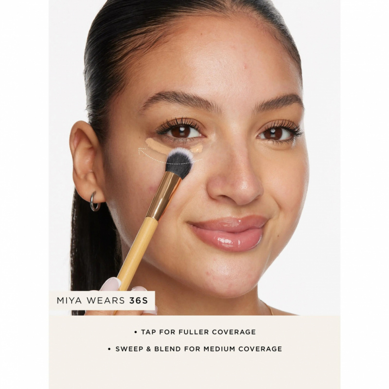 tarte Concealer Paw Brush Angl - Beauty Makeup Background ulasan dan harga